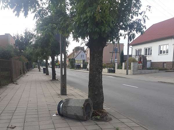 Zdjęcie