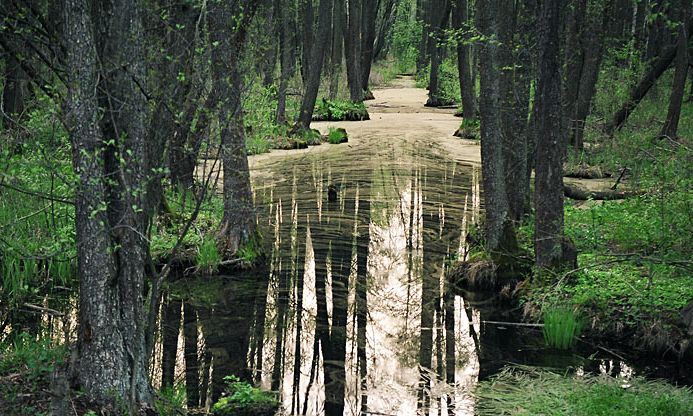 fot. Marek Maliszewski/4lomza.pl