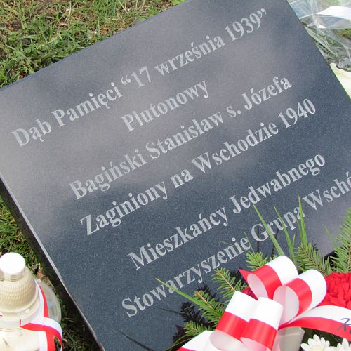 Zdjęcie